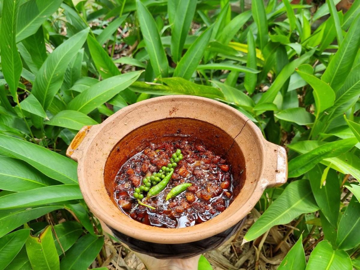 Ba Danh Homestay & Kitchen - Ben Tre Mekong Kültér fotó