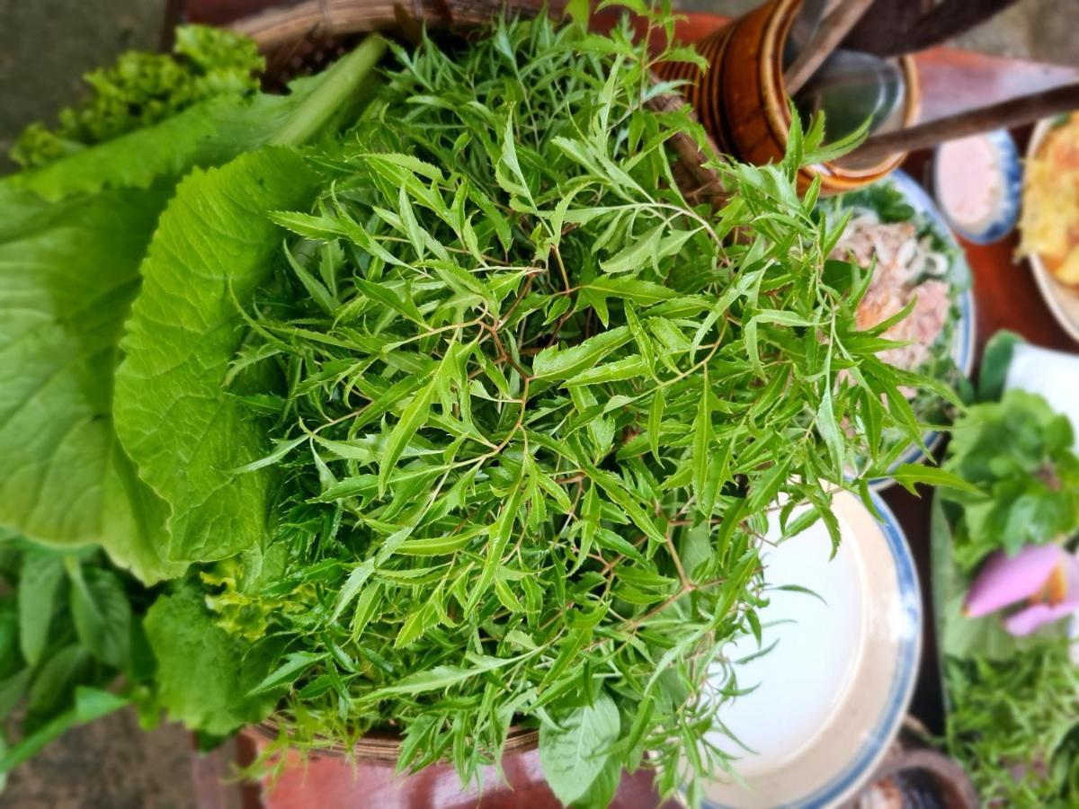 Ba Danh Homestay & Kitchen - Ben Tre Mekong Kültér fotó