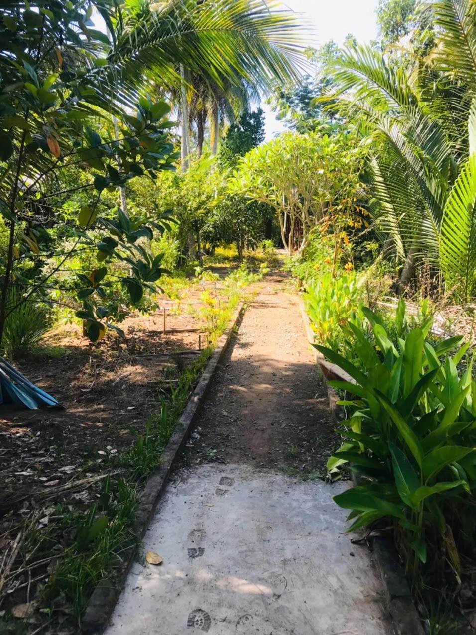 Ba Danh Homestay & Kitchen - Ben Tre Mekong Kültér fotó