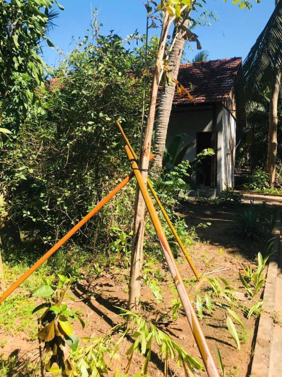 Ba Danh Homestay & Kitchen - Ben Tre Mekong Kültér fotó